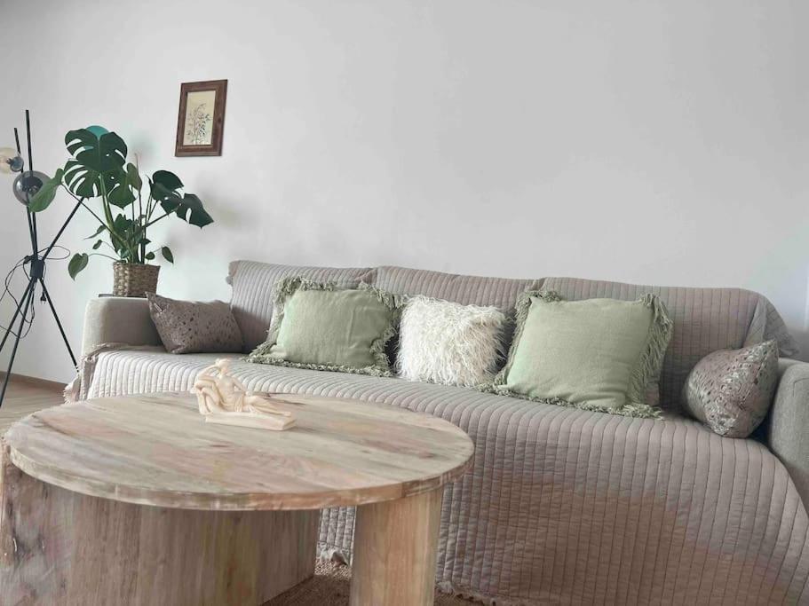 Villa Casa Mina à Albeşti Extérieur photo